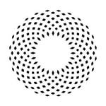 Codex Labs discount code